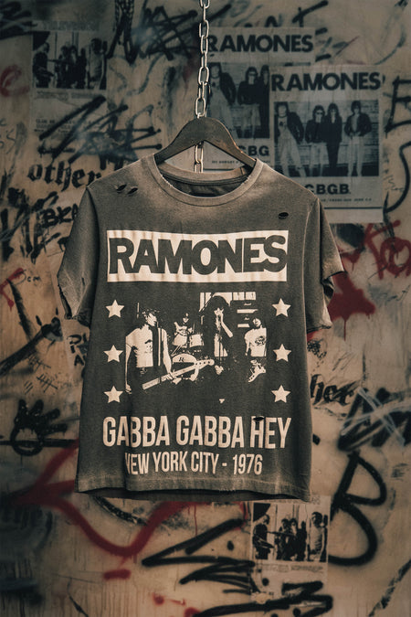 RAMONES GABBA GABBA HEY VINTAGE T-SHIRT